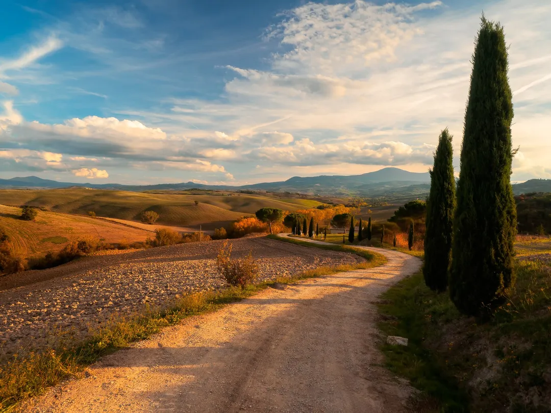 Cypress-lined road through the Val d'Orcia hills in Tuscany